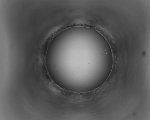 X0000094801207200711241416