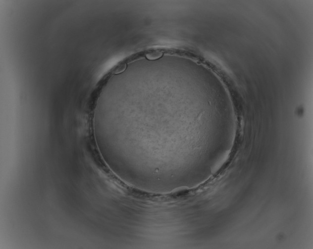 X0000094801208200711241416