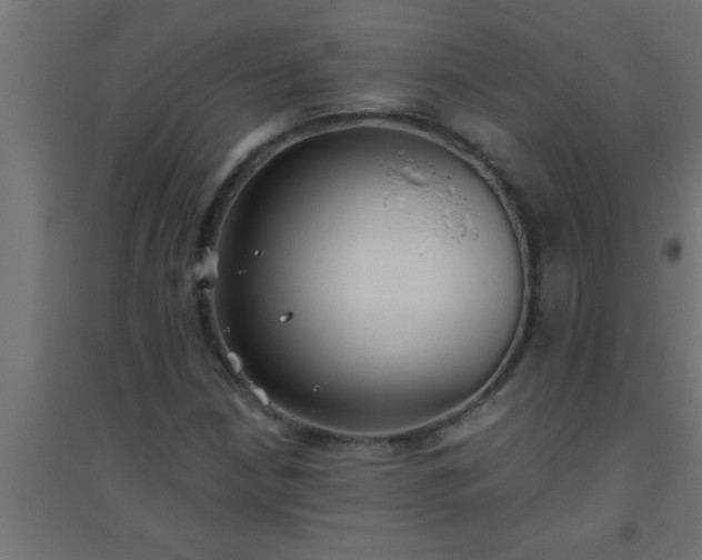 X0000094801210200711241416