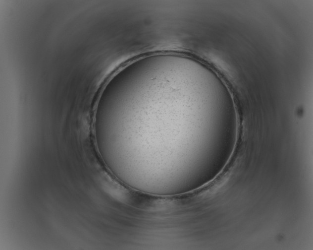 X0000094801212200711241416
