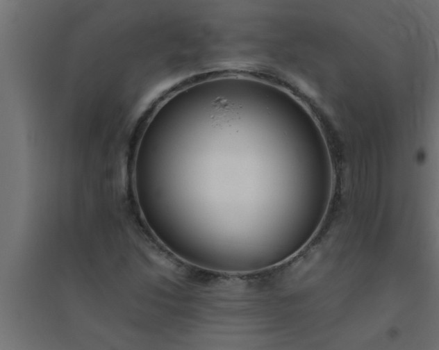 X0000094801214200711241416