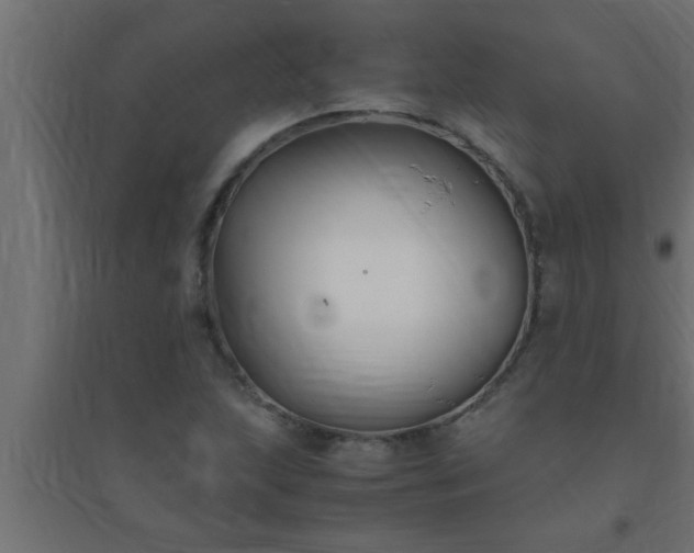 X0000094801215200711241416