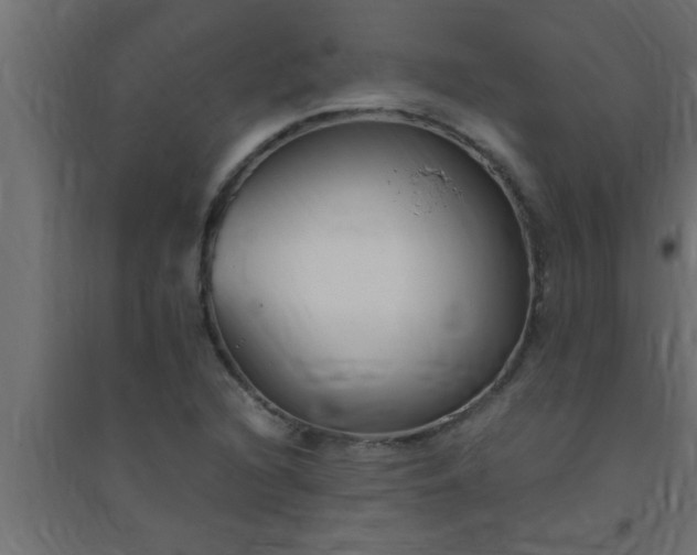 X0000094801216200711241416