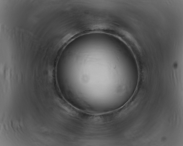X0000094801217200711241416