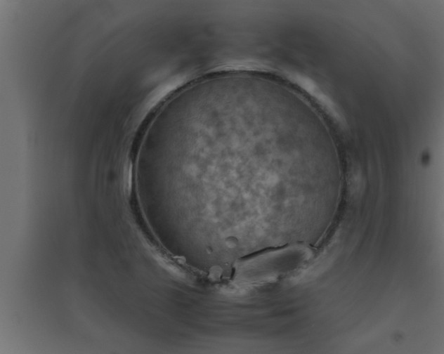 X0000094801221200711241417
