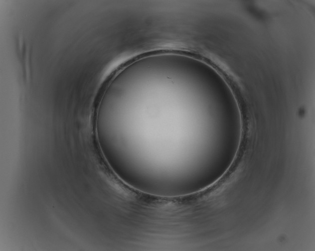 X0000094801222200711241417