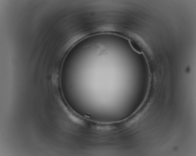 X0000094801225200711241417