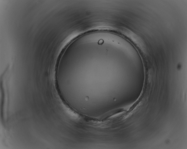 X0000094801229200711241417