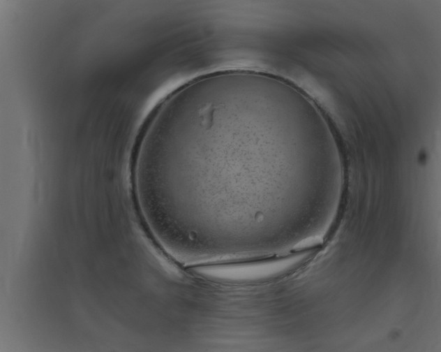 X0000094801230200711241417