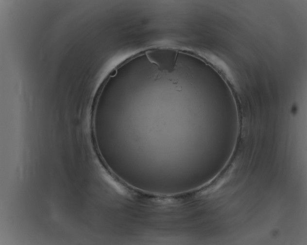 X0000094801231200711241417