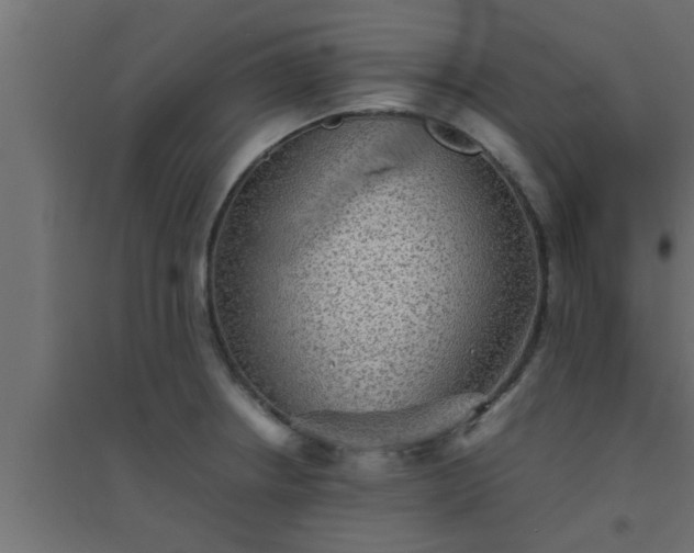 X0000094801234200711241417