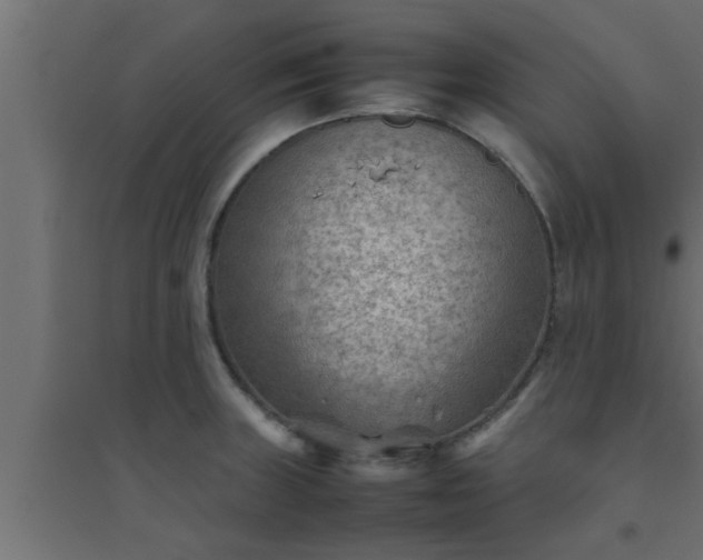 X0000094801235200711241417