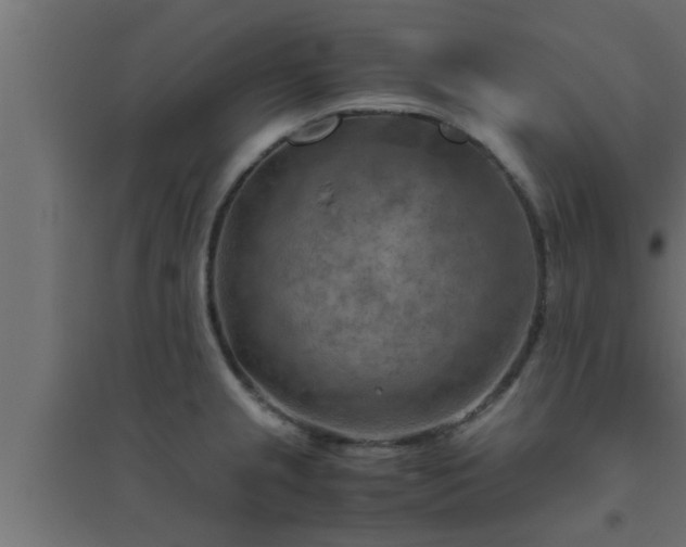 X0000094801237200711241417