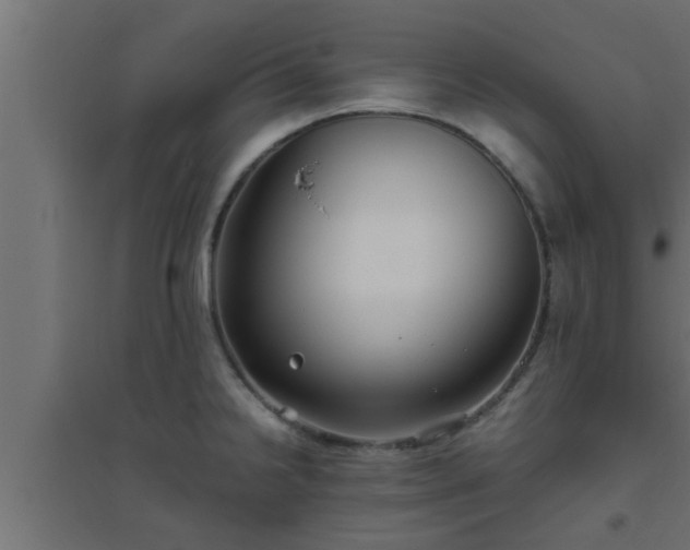X0000094801238200711241417