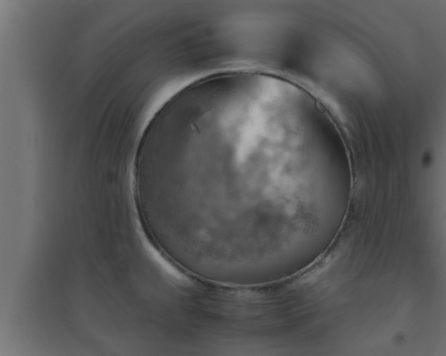 X0000094801239200711241417