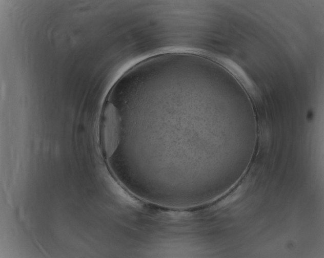 X0000094801244200711241417