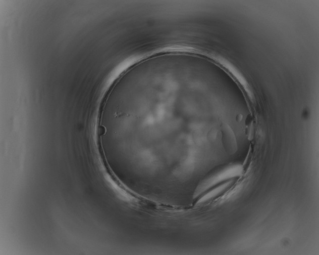X0000094801245200711241417