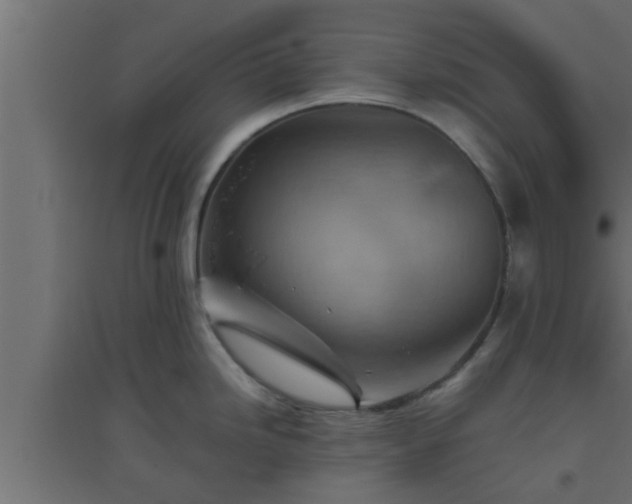 X0000094801246200711241417