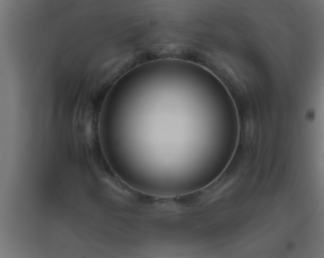 X0000094801250200711241416