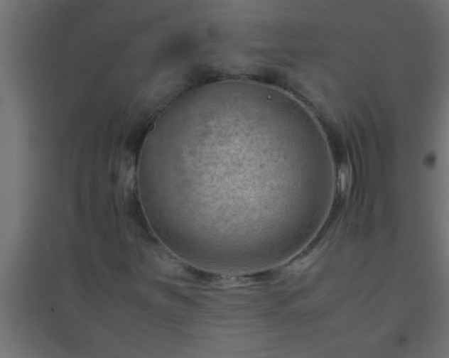 X0000094801251200711241416