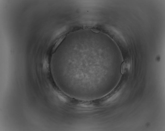 X0000094801252200711241416