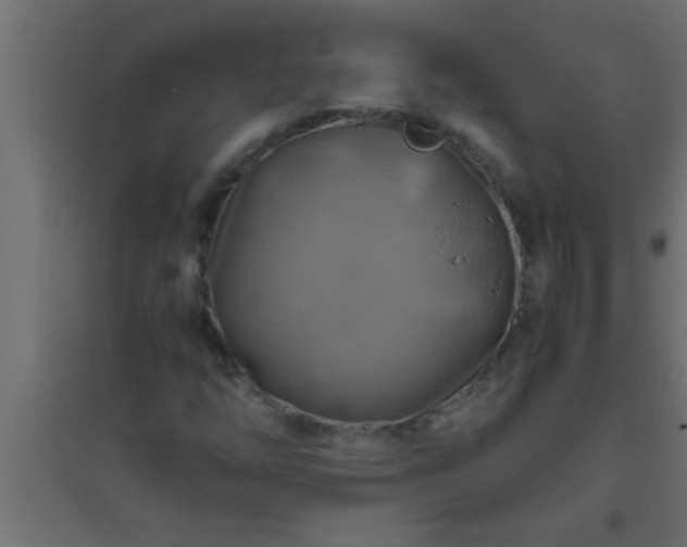 X0000094801254200711241416