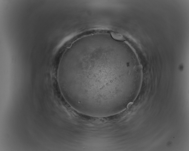X0000094801255200711241416