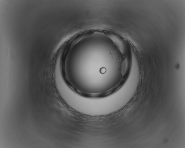 X0000094801256200711241416