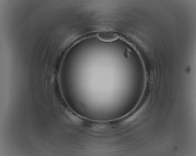 X0000094801257200711241416