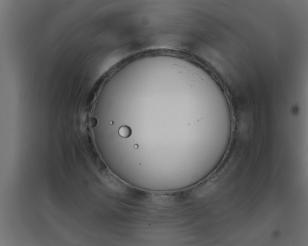 X0000094801258200711241416