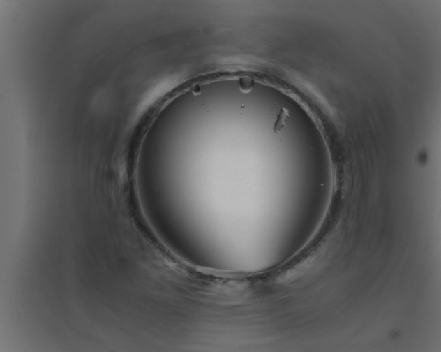 X0000094801261200711241416