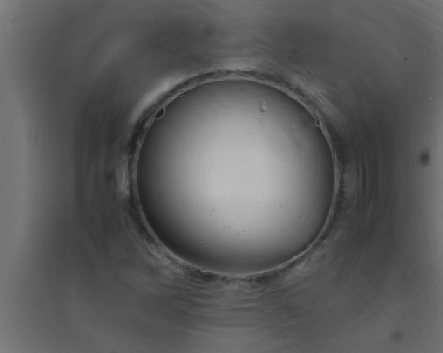 X0000094801262200711241416