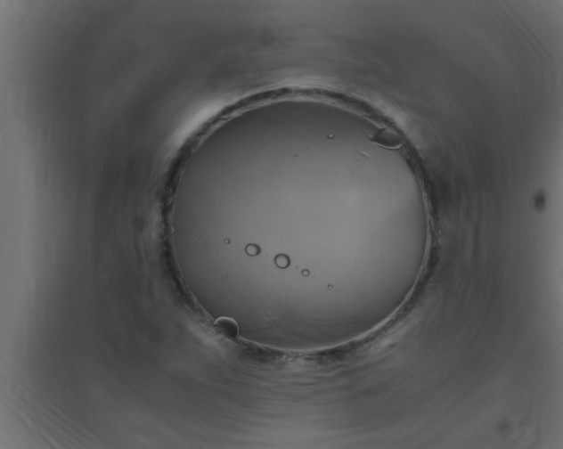 X0000094801263200711241416
