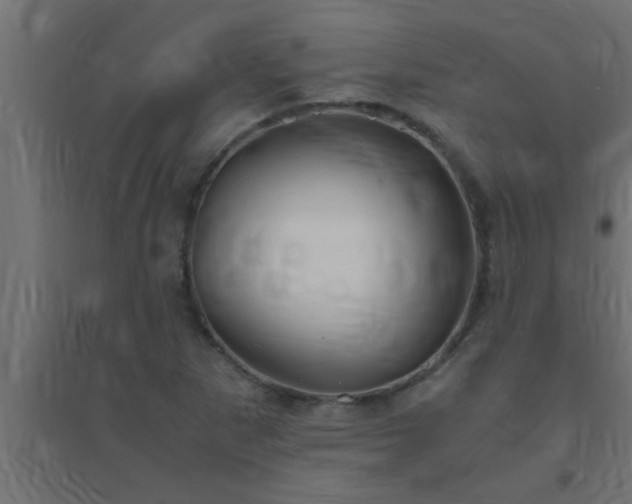 X0000094801265200711241416