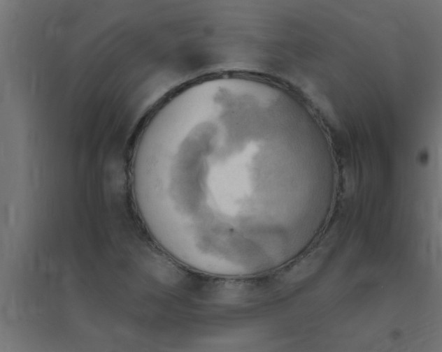 X0000094801266200711241416