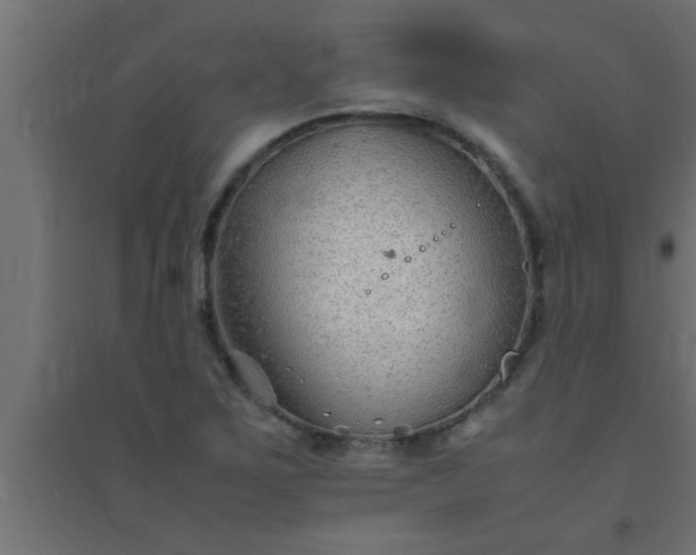 X0000094801267200711241416