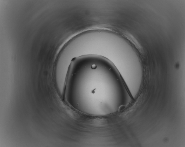 X0000094801268200711241416