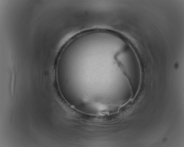 X0000094801271200711241416