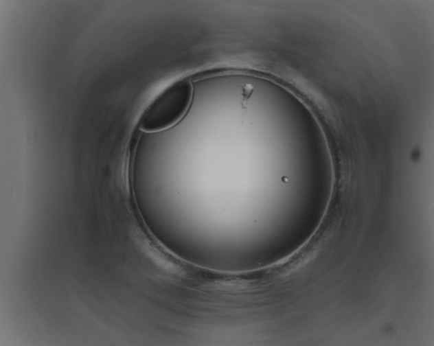X0000094801272200711241416