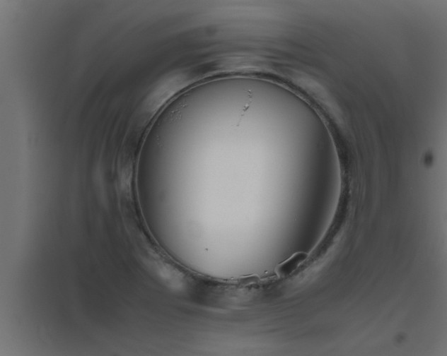 X0000094801273200711241416