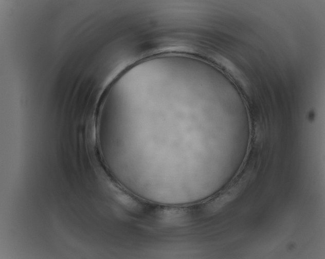 X0000094801274200711241416