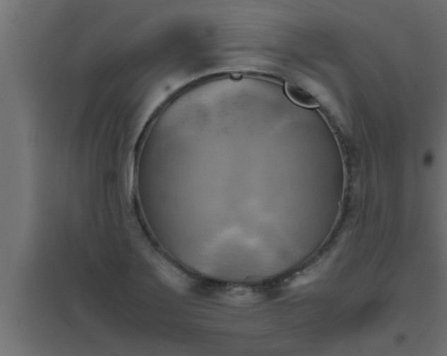 X0000094801275200711241416