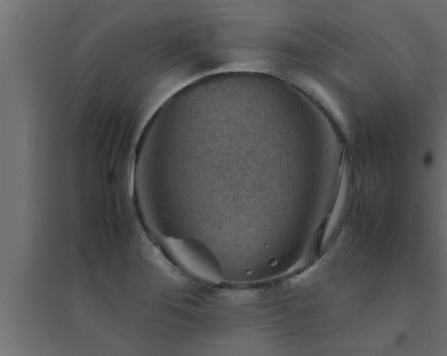 X0000094801276200711241416