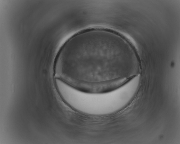 X0000094801279200711241416