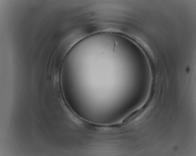 X0000094801281200711241416