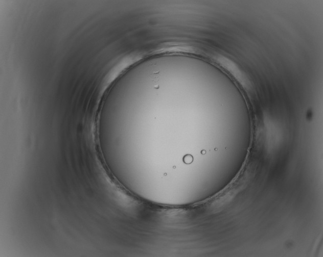 X0000094801282200711241416