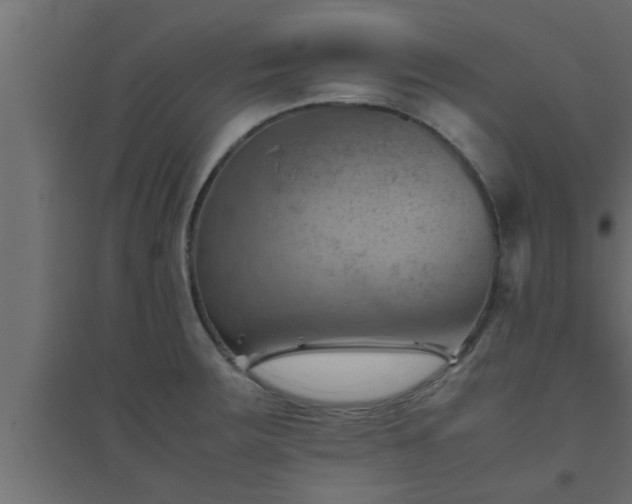 X0000094801283200711241416