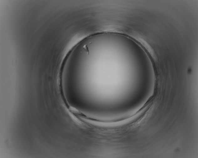 X0000094801285200711241416
