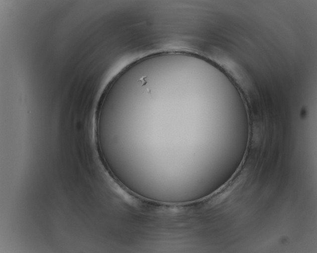 X0000094801286200711241416