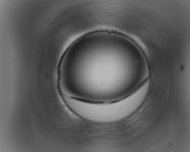 X0000094801287200711241416